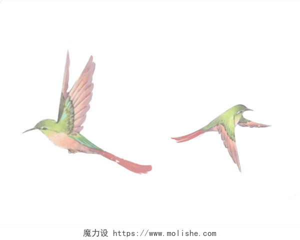 彩色卡通喜鹊燕子鸟类小鸟PNG素材元素
